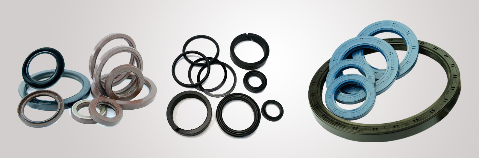 Rajhans Oil Seals